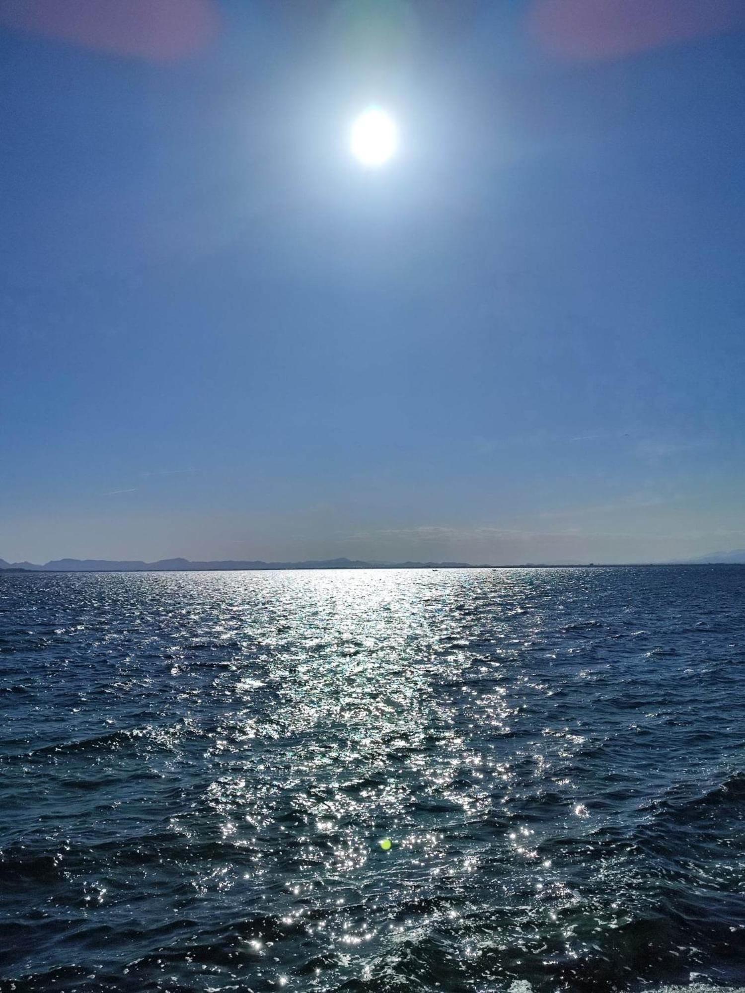 Cerca De La Playa La Mata *